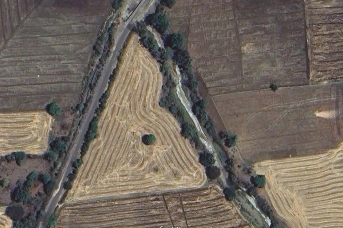 agriculture land for sale
